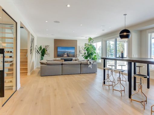 Beacon Hill Drive lower level living space