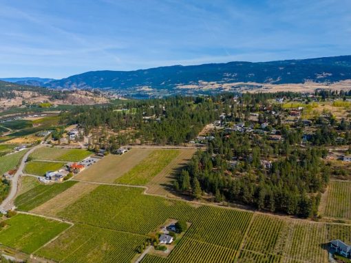 Camp Rd drone view of farms