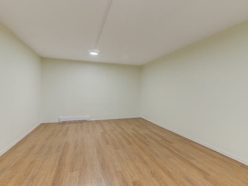 Mountainview empty basement