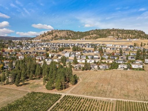 Gregory drone view further away