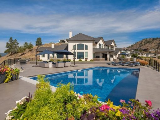 Vineyard pool and backyard