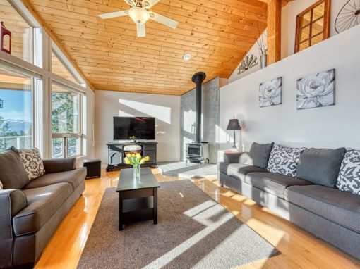 Spruce Drive lofted ceiling living room
