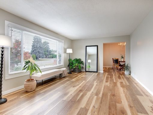 Princess empty living room