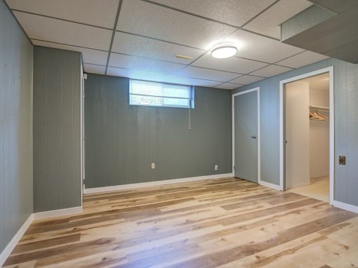 Princess empty basement bedroom